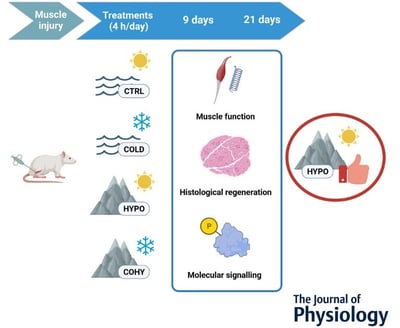 Journal of Physiology